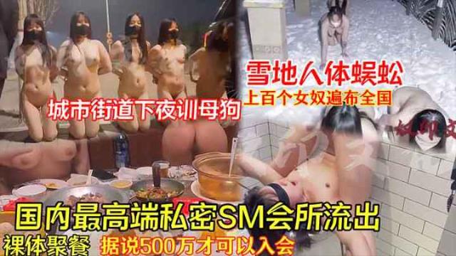 （独家）国内最高端私密sm会所流出听说500才可以入会雪地人体蝶城市街道夜训母狗上百个女奴遍布全国裸体聚餐